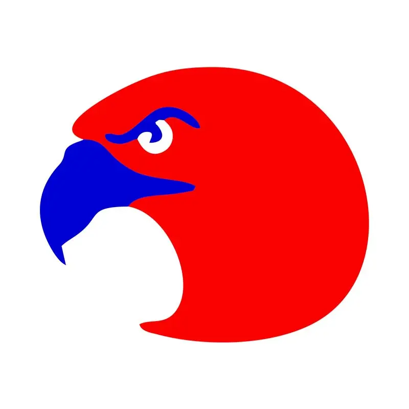 American Eagle Head Vector