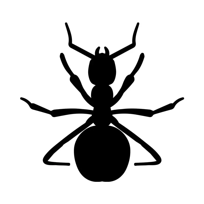 Big Black Ant Silhouette Art