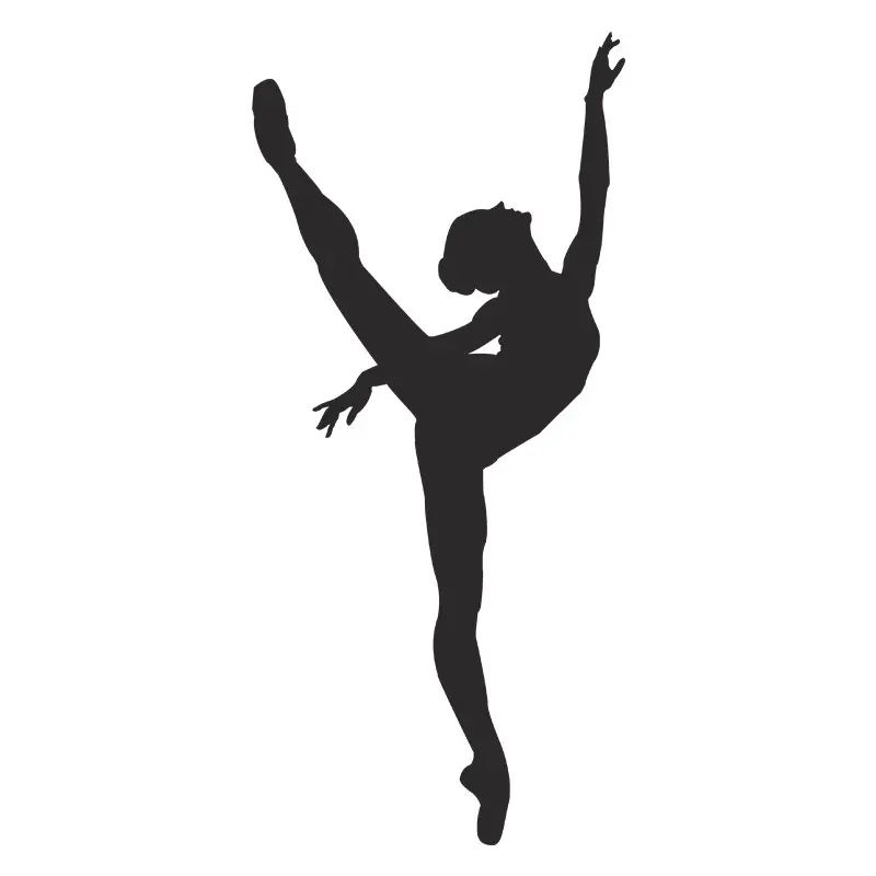 Amazing Leg Holding Technique Ballet Silhouette Art