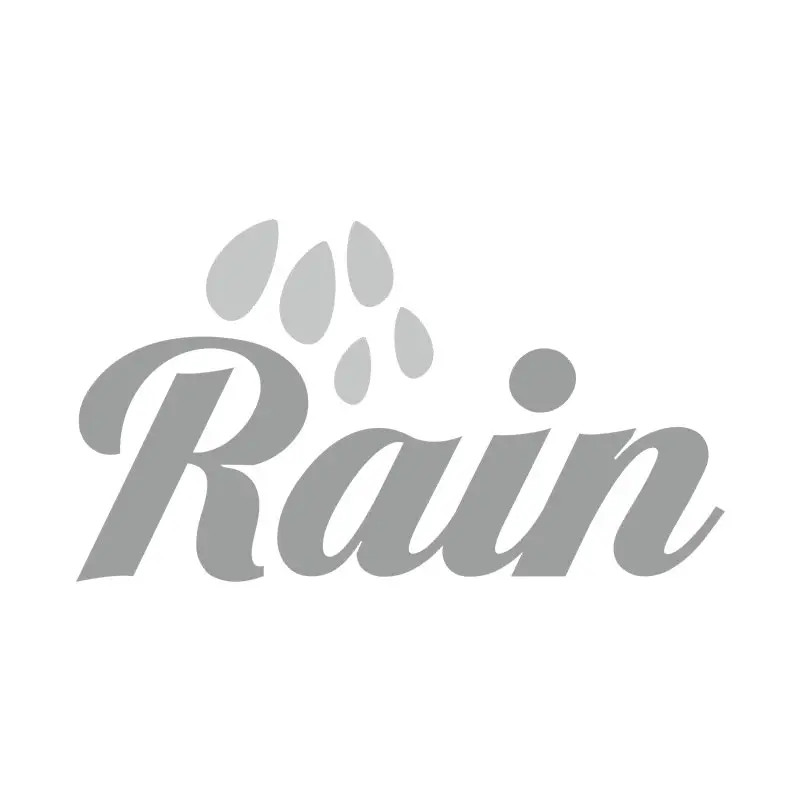 Droplets and Rain Word Vector Art