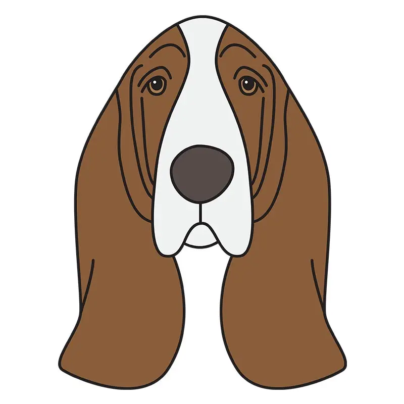 Captivating Basset Hound Face Vector Art