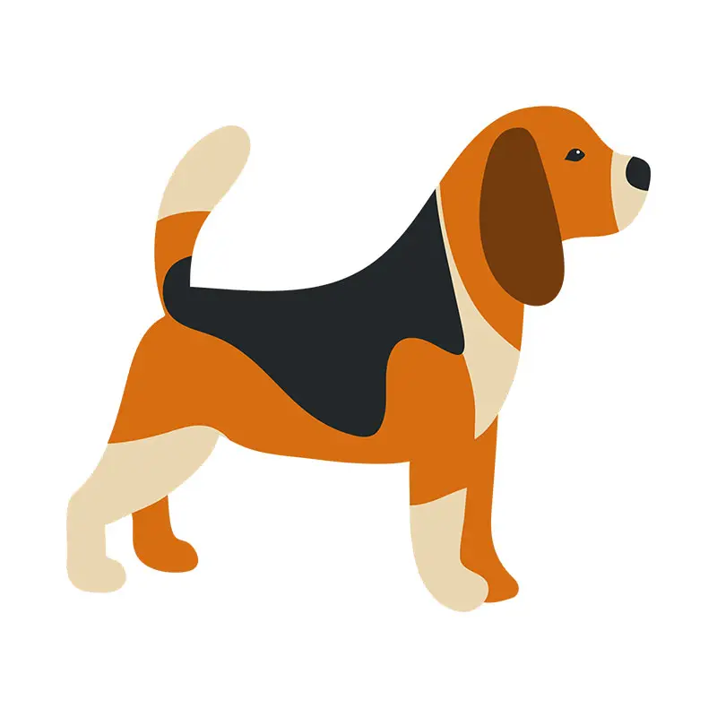Multicolored Side View Beagle Vector Art
