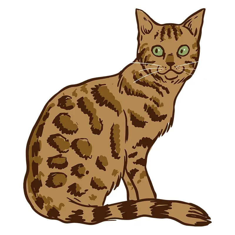 Gorgeous Bengal Cat Vector Art
