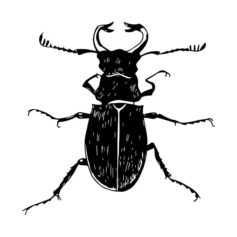Stag Beetle Silhouette Art