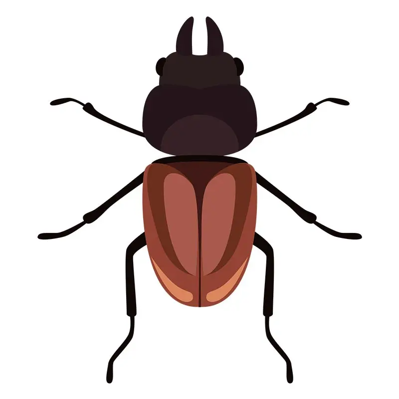 Overwhelming Stag Beetle Vector Art
