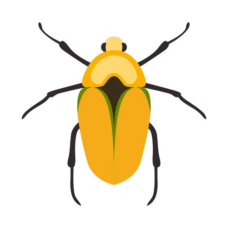 Goldsmith Scarab Beetle Vector Art