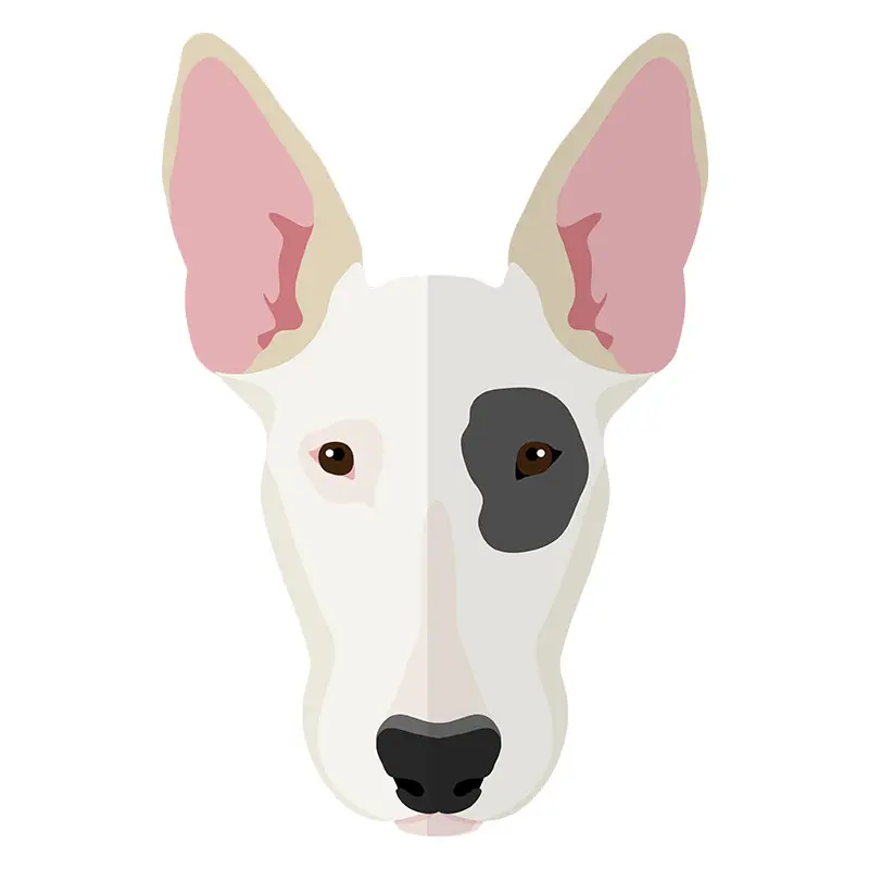 Spotted Bull Terrier Face Vector Art