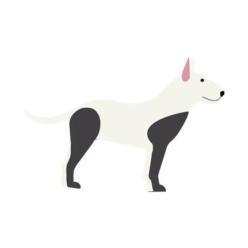 Subtle Bull Terrier Vector Art