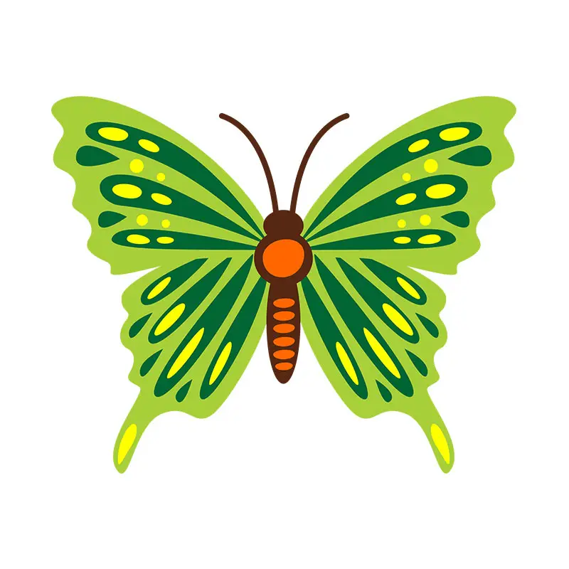 Green Decorated Colorful Butterfly Vector Art
