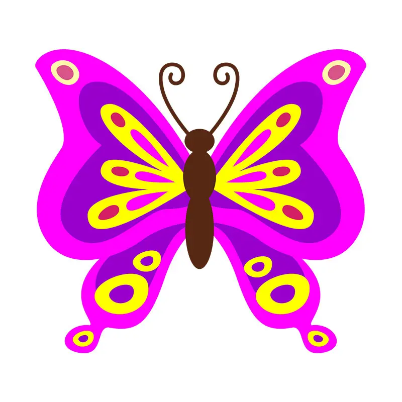 Dazzling Colored Butterfly Vector Art