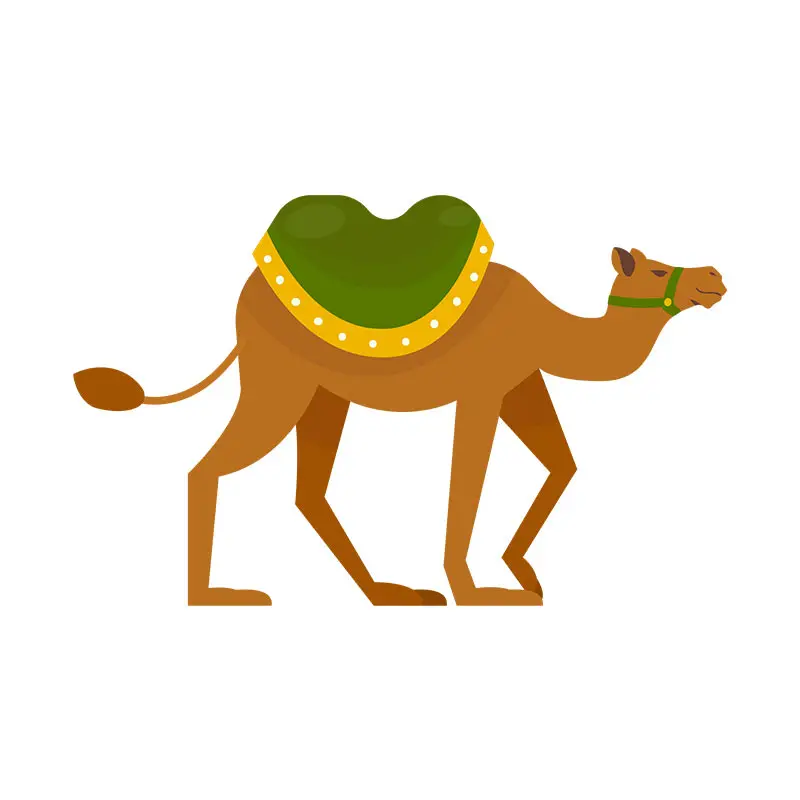 Saddled Bactrian Camel Vector Art
