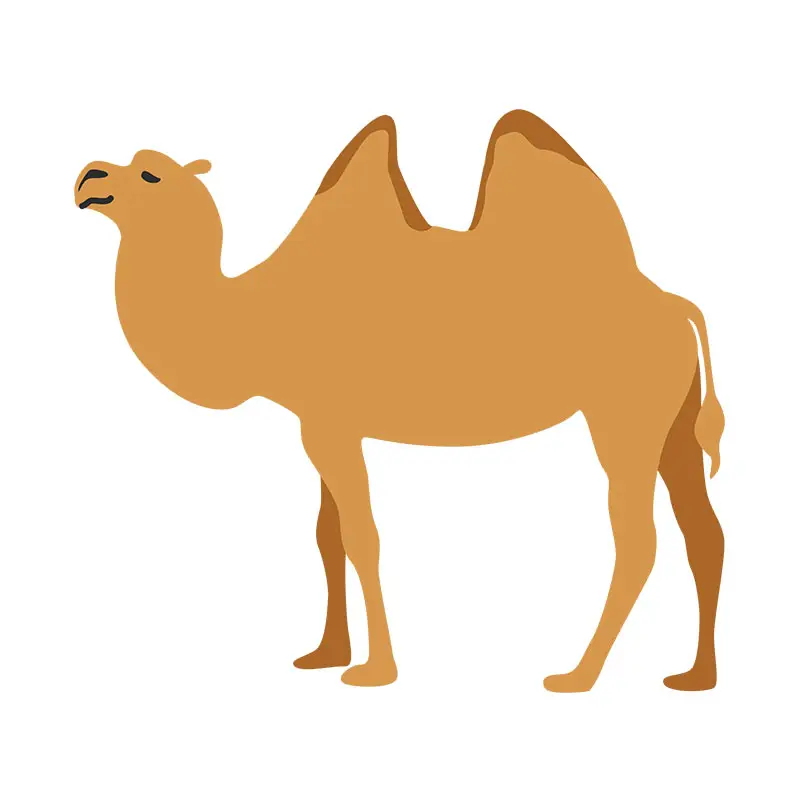 Wild Bactrian Camel Vector Art