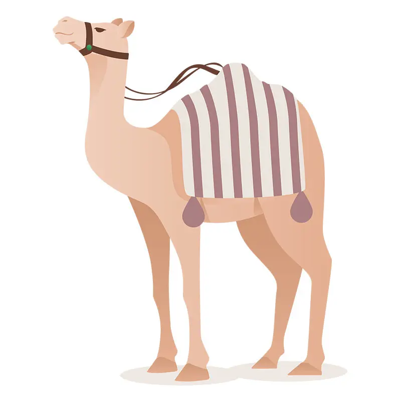 Exquisite Saddled Camel Vector Art