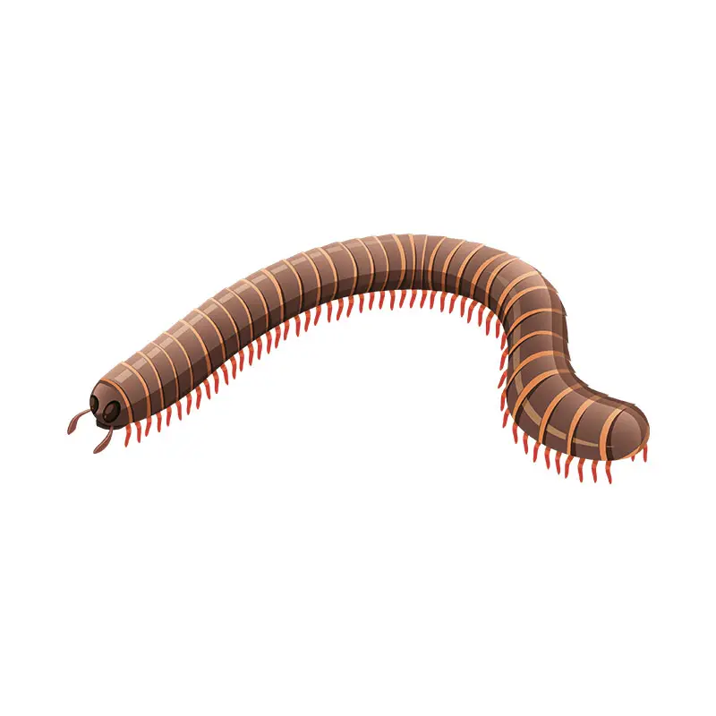 Relentless Caterpillar Vector Art