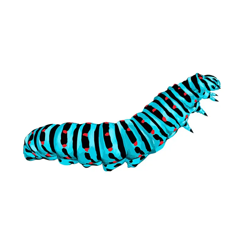 Toxin Free Hornworm Caterpillar Vector Art