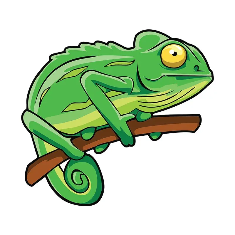 Common Green Chameleon Vector Art