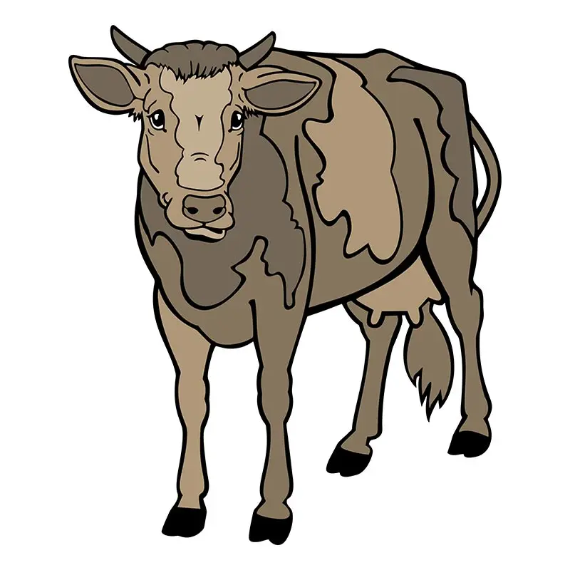 Small-Horned Jersey Cattle Cow's Calf Vector Art