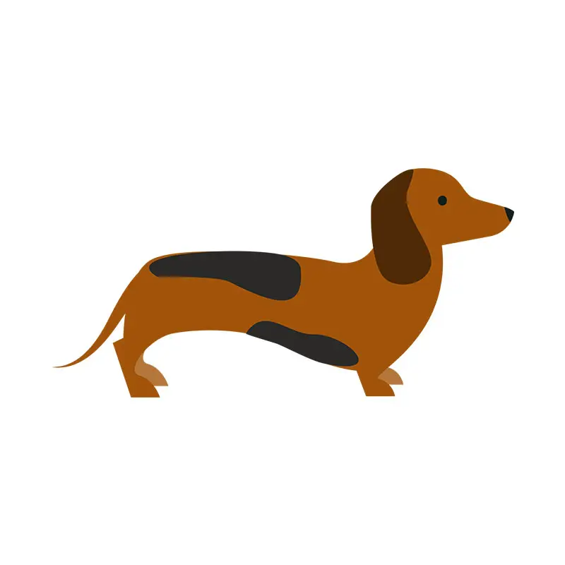 Amiable Blue and Tan Dachshund Dog Vector Art