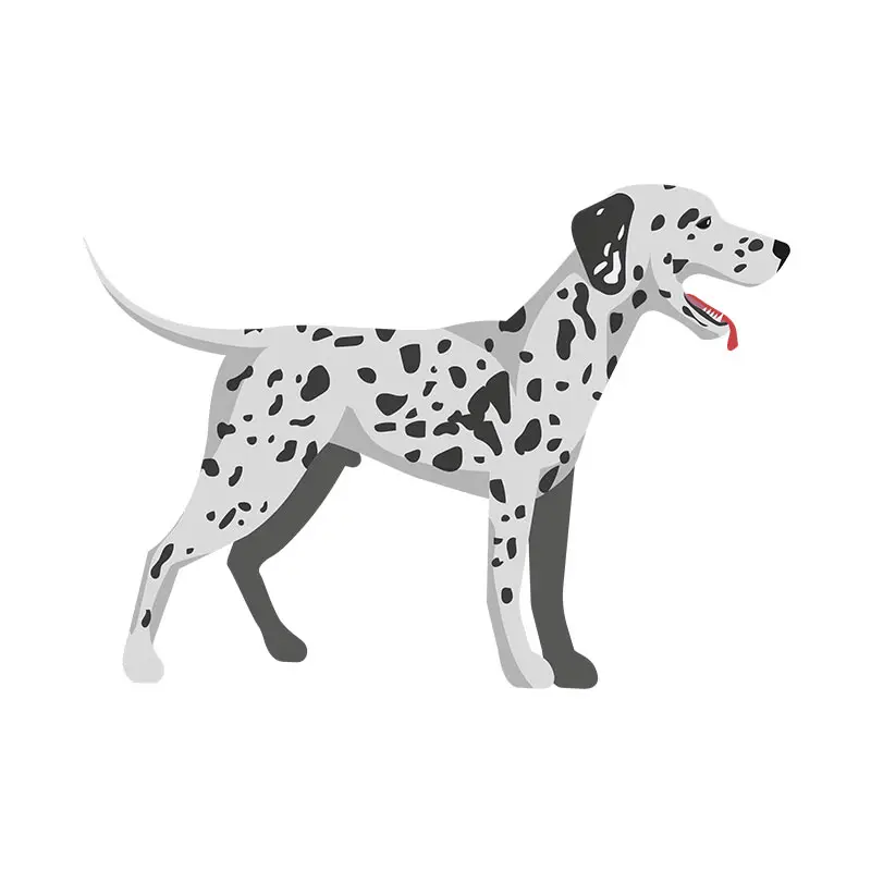 Adorable Slobbering Dalmatian Dog Vector Art