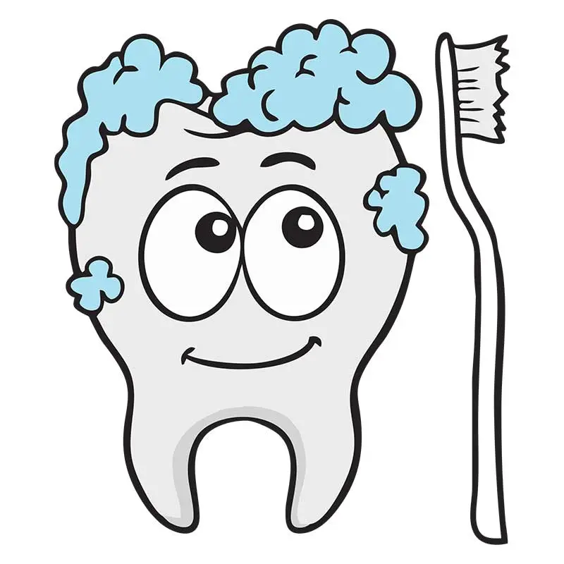 Pleasing Brushing Tooth Vector Art
