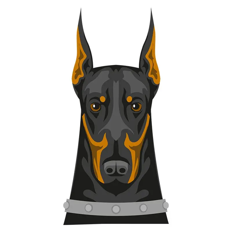 Menacing Doberman Dog Vector Art