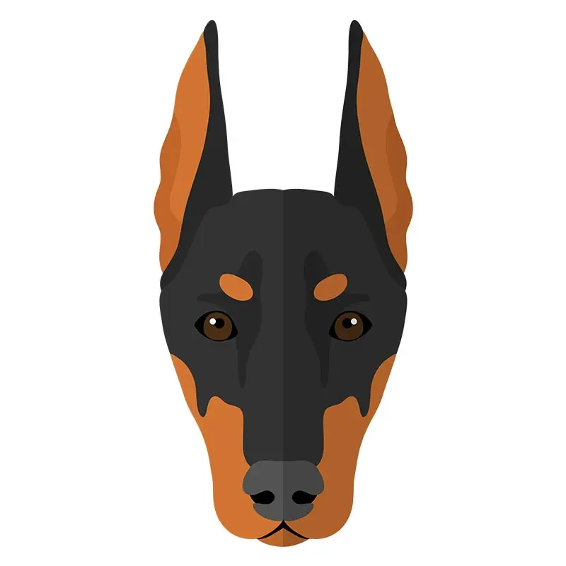 Fierce Doberman Dog Face Vector Art