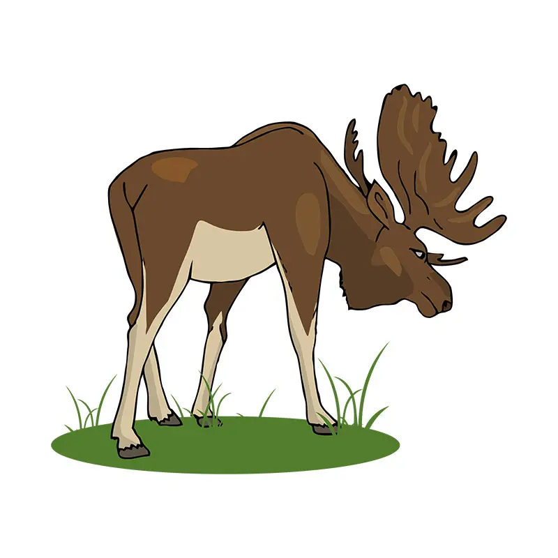Grazing Adult Elk Vector Art