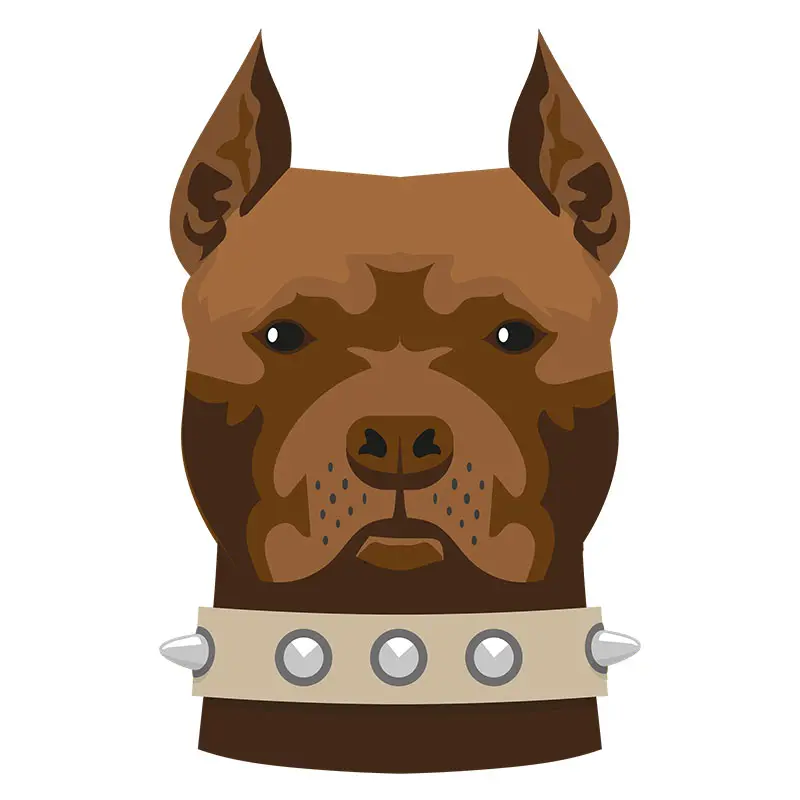 American Pitbull Terrier Dog Vector Art