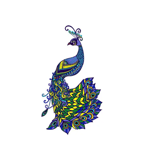 Amicable and Colorful Peacock Vector Art