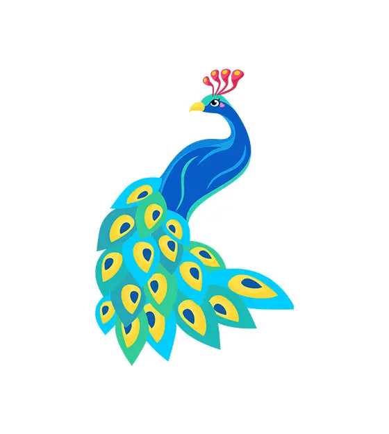 Beguiling African Peacock Vector Art