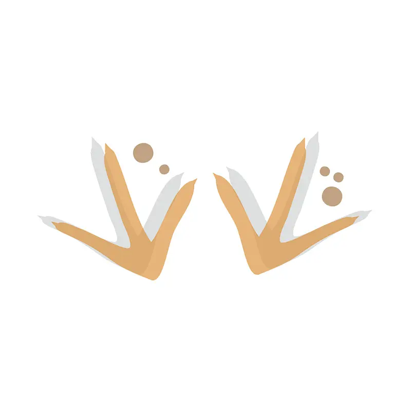 Clucking Chicken Footprint Step Vector Art