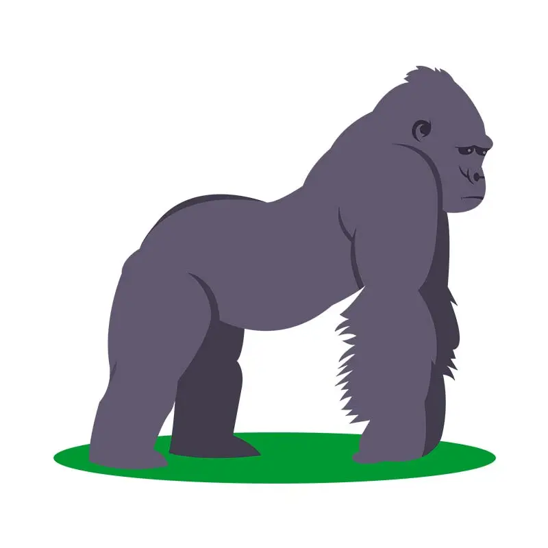 Gorilla Sublimation