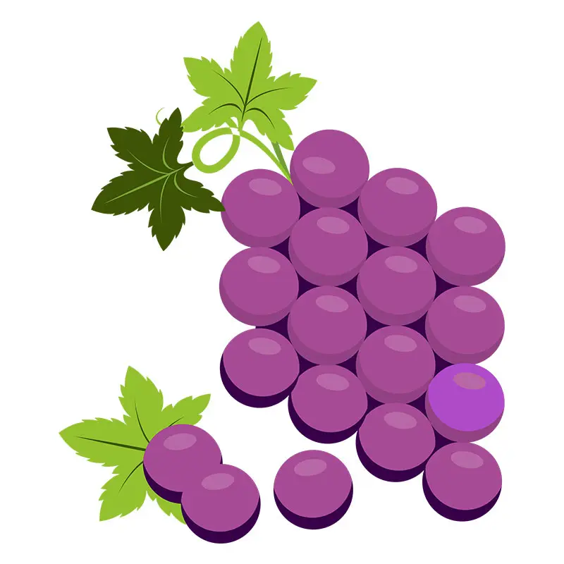 Savory and Mouthwatering Grapes Vector Art
