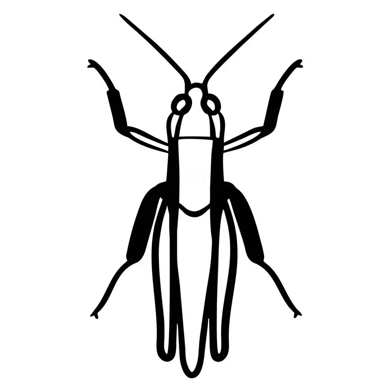 Plaid Wing Grasshopper Insect Vector Art