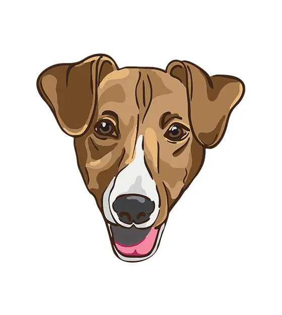Jack Dog Face Vector