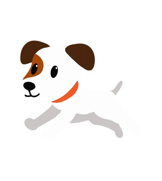 Jack Russell Face Vector