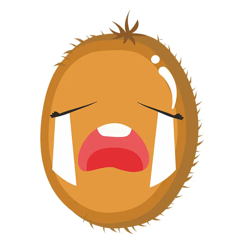 Weeping Kiwi Fruit Vector Art