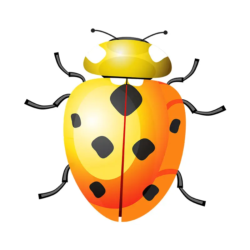 European Spotted Lady Bird Vector Art