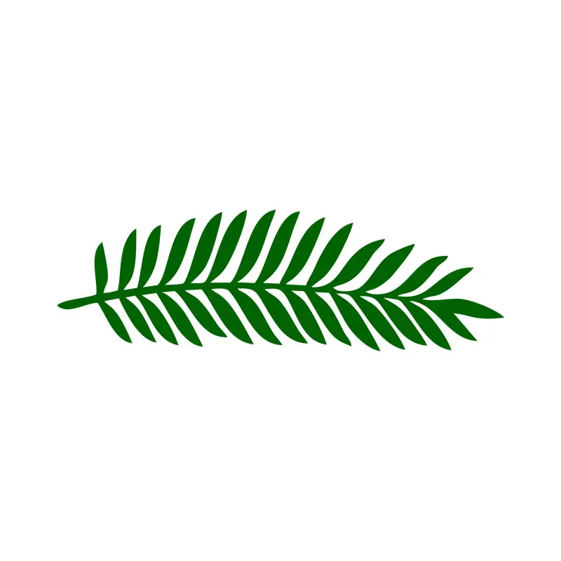European Mountain Ash Leaf Vector Art