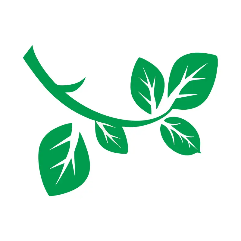 Box Elder Leaf Tree Branch Vector Art