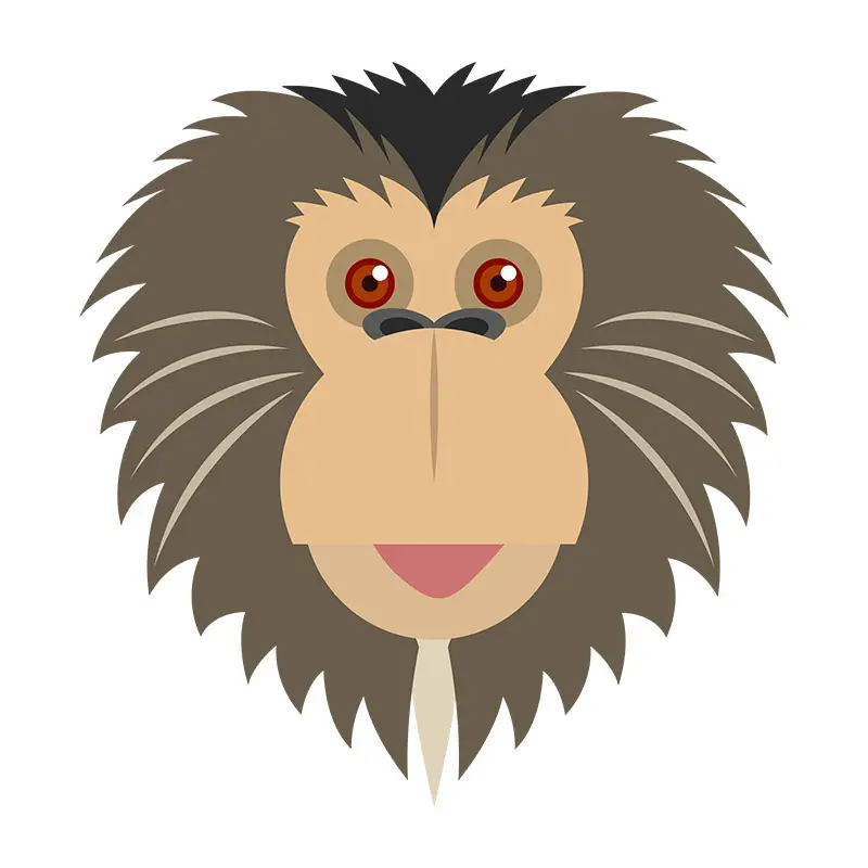 Monkey Face Vector Art
