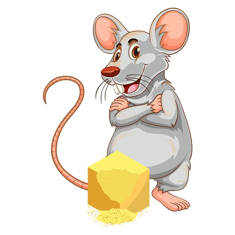 Cheese Mouse Vector