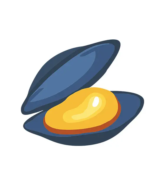Oyster Shell Vector Design