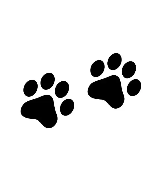 Cat Paw Silhouette