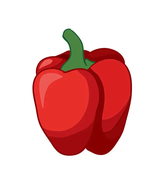 Red Bell Pepper Vector