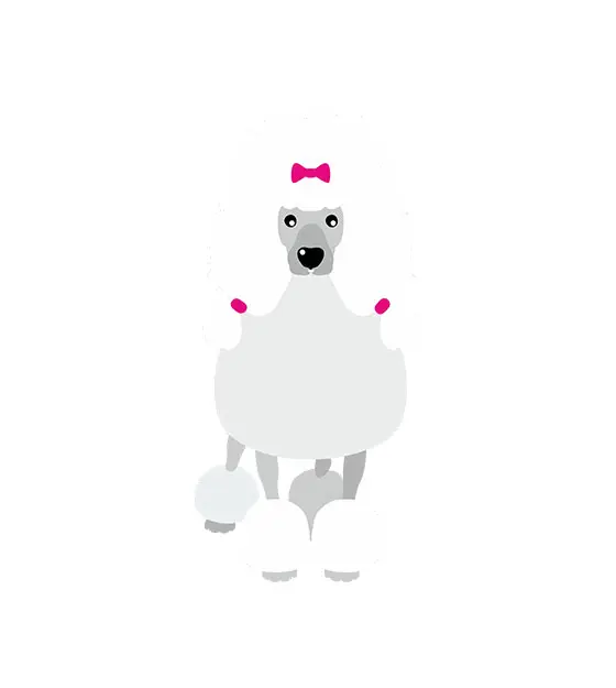 Cute Poodle Vector
