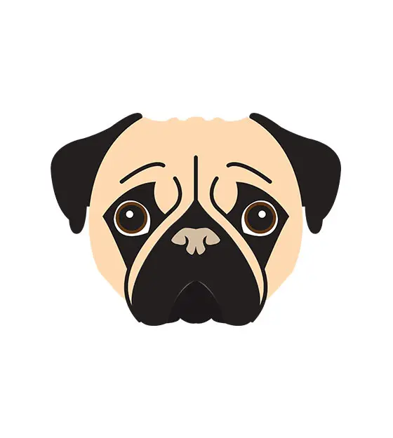 Pug Face Vector