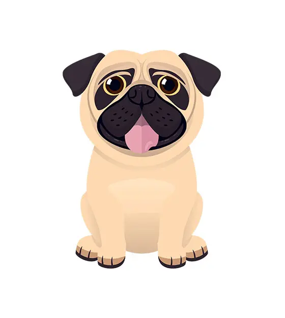 Hanging Tongue Pug Vector
