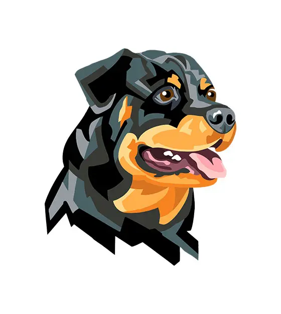 Rottweiler Dog Vector
