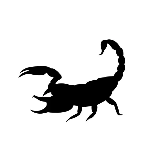 Scorpion Silhouette